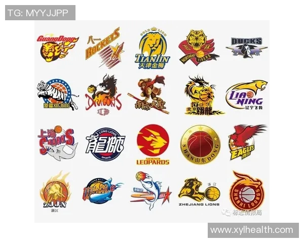 武汉网球队实力分析与联赛表现评估的深度解读