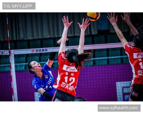 武汉排球队的转型之路与未来发展趋势深度解析