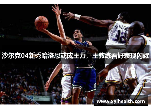 沙尔克04新秀哈洛恩或成主力，主教练看好表现闪耀