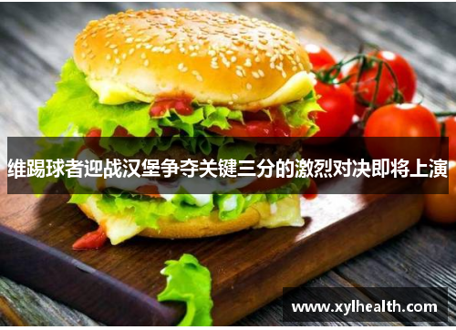维踢球者迎战汉堡争夺关键三分的激烈对决即将上演