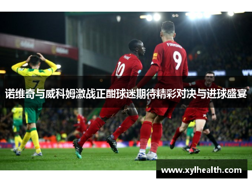 诺维奇与威科姆激战正酣球迷期待精彩对决与进球盛宴