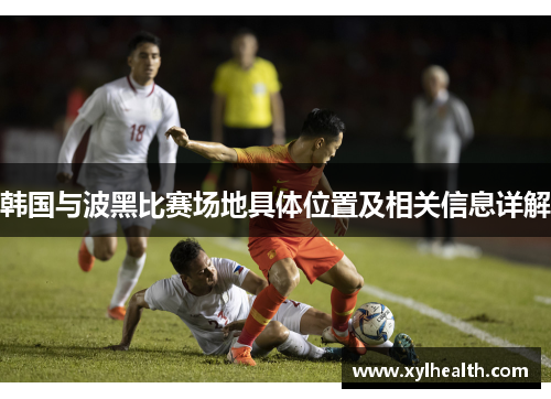 韩国与波黑比赛场地具体位置及相关信息详解