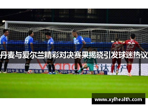 丹麦与爱尔兰精彩对决赛果揭晓引发球迷热议